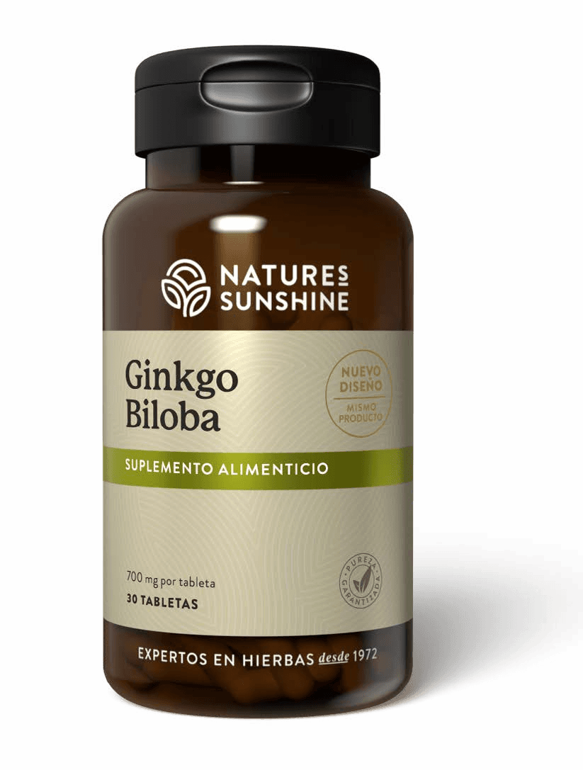 Ginkgo Biloba