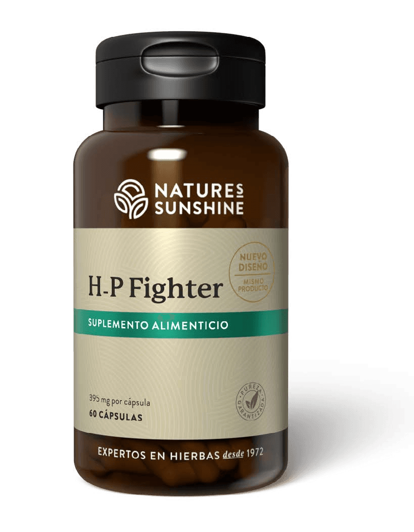H-P Fighter