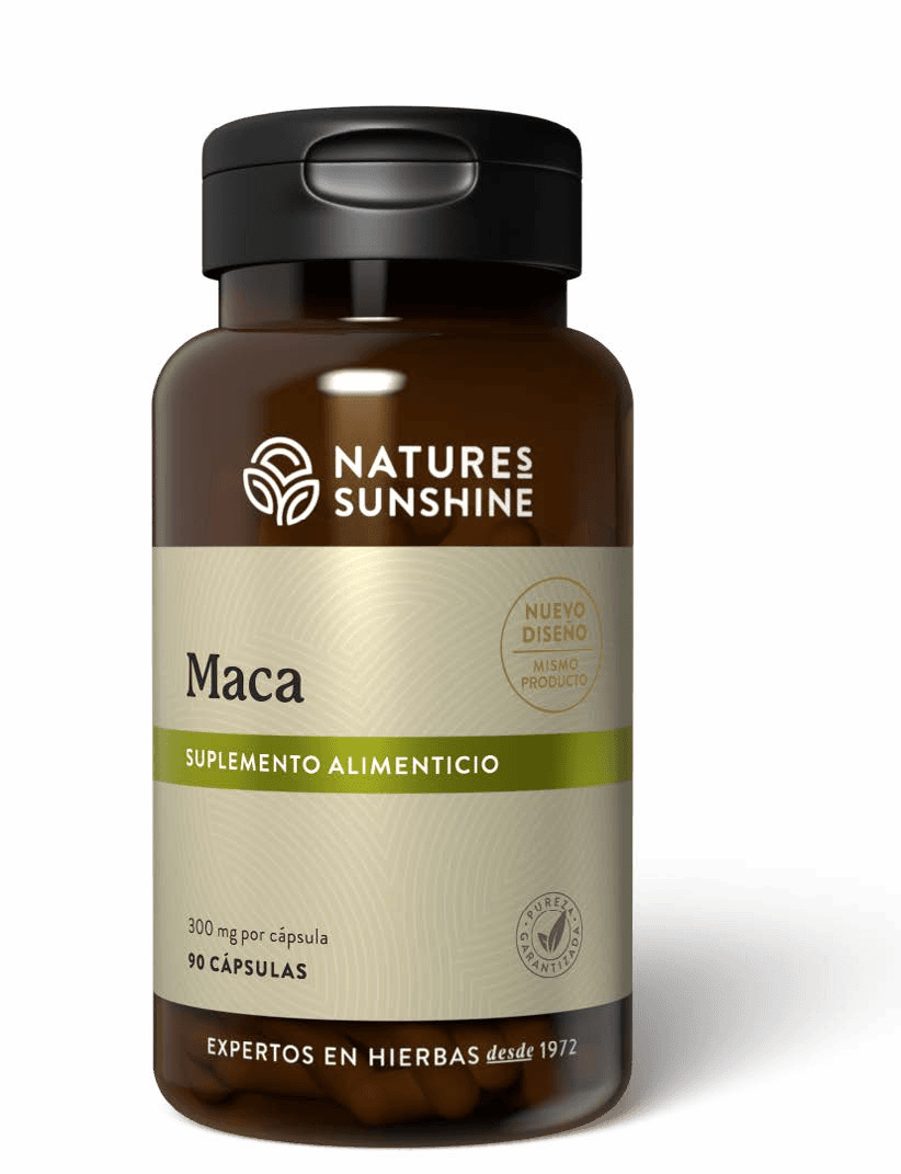 Maca