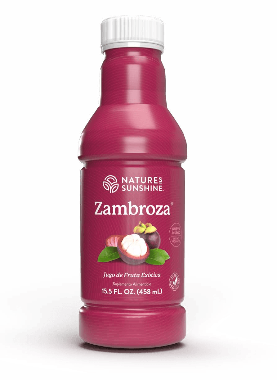 Zambroza